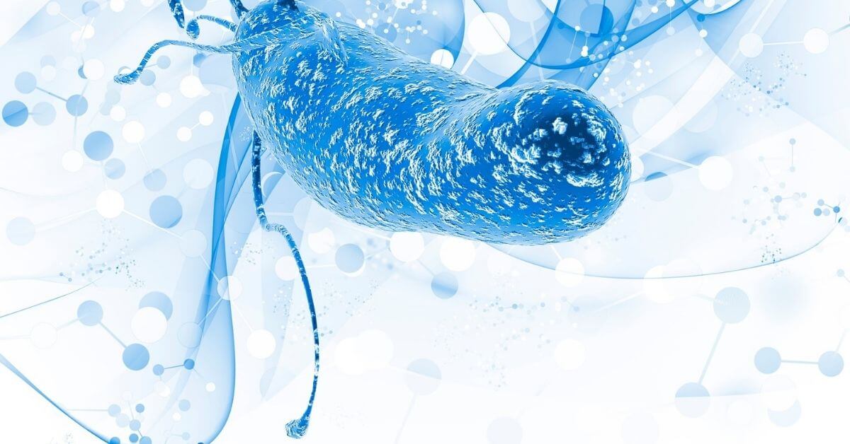 What are Healthcare-Associated Infections?