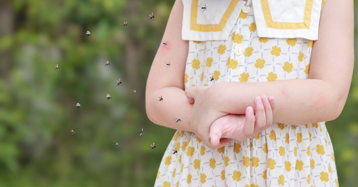 how-choose-mosquito-repellent-picaridin